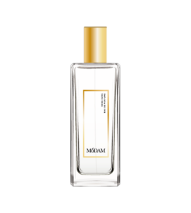 Generated-Image-December-06,-2025---3_43PM 1-17